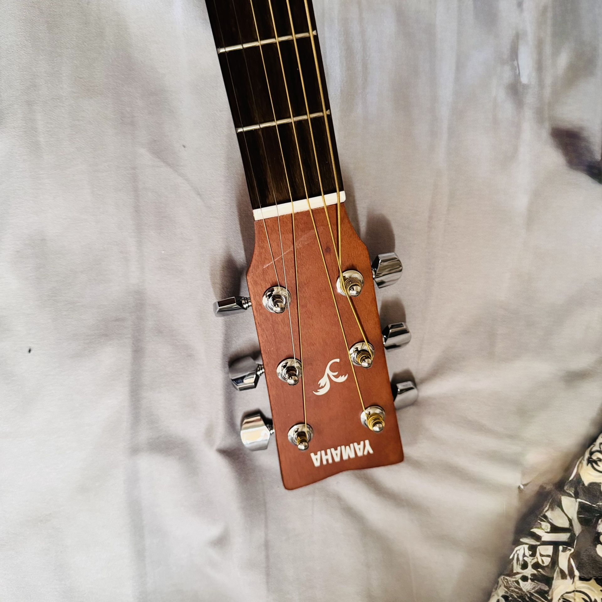 acoustic guitar