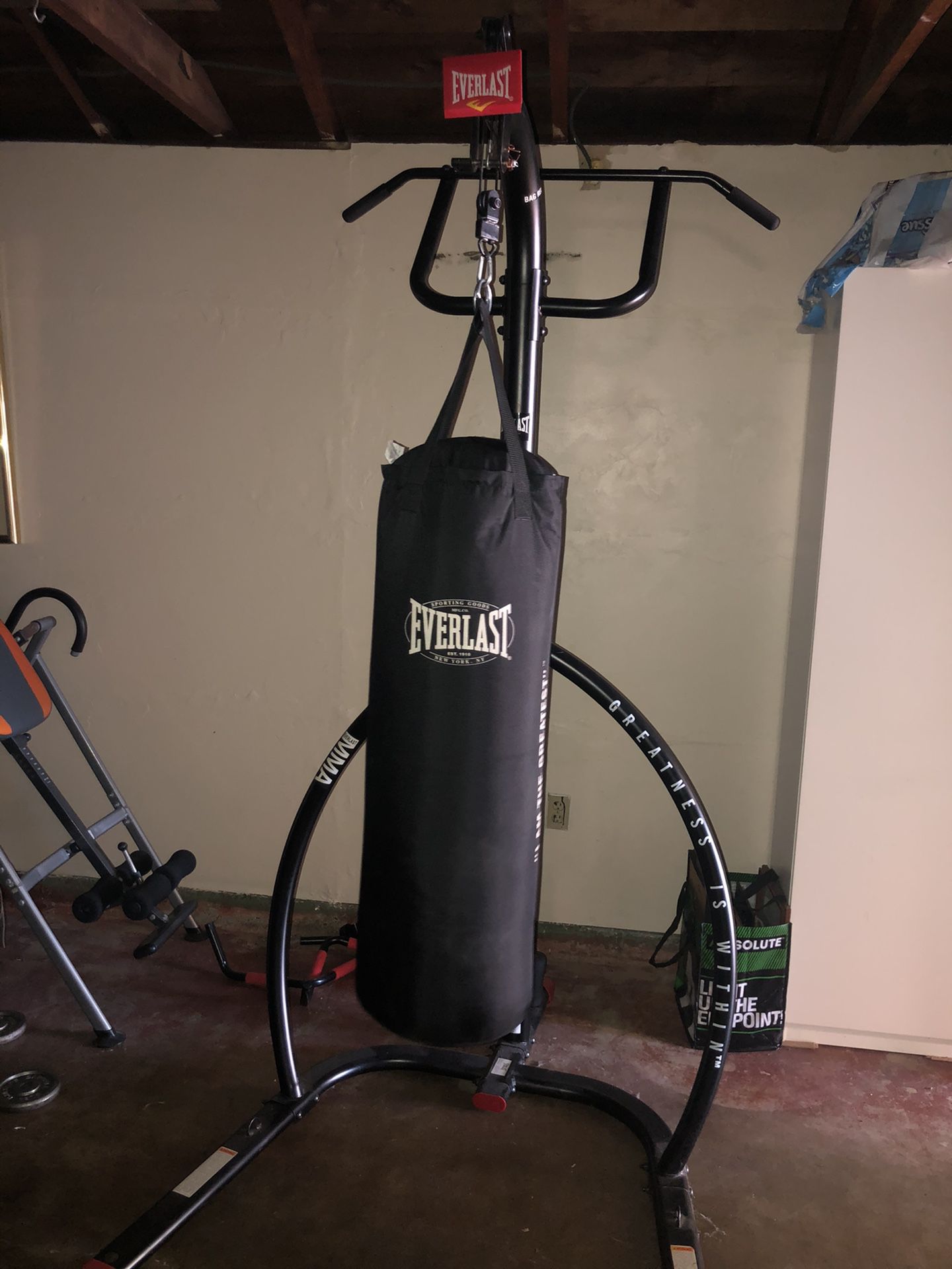 Punching bag and stand with pull-up bar(OBO)