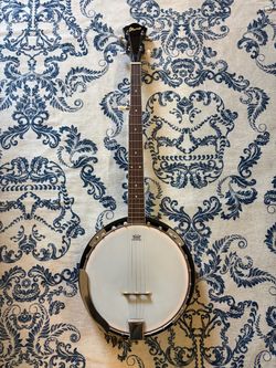 Ibanez 5-String Banjo