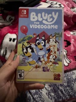 Bluey  Switch game.