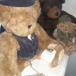 Teddy Bear Collection (3 Total)