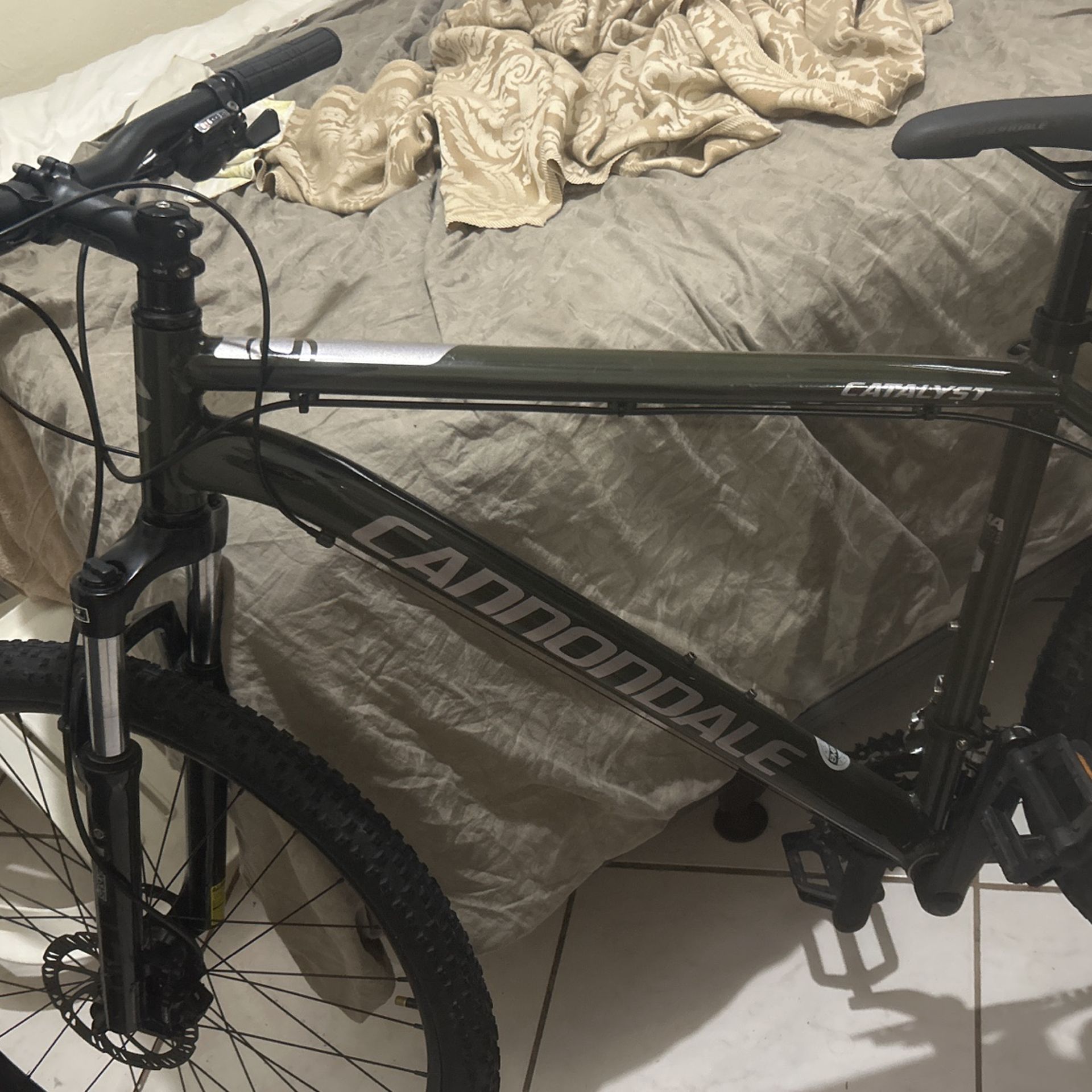 Cannondale Bike