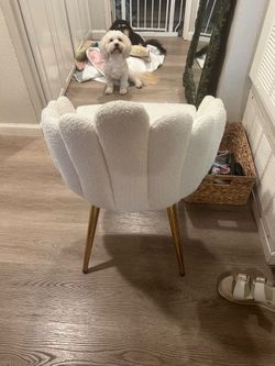Soft unique design chair.