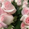 ERoseBouquets