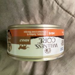 Wellness CORE ADULT cat Good-soft