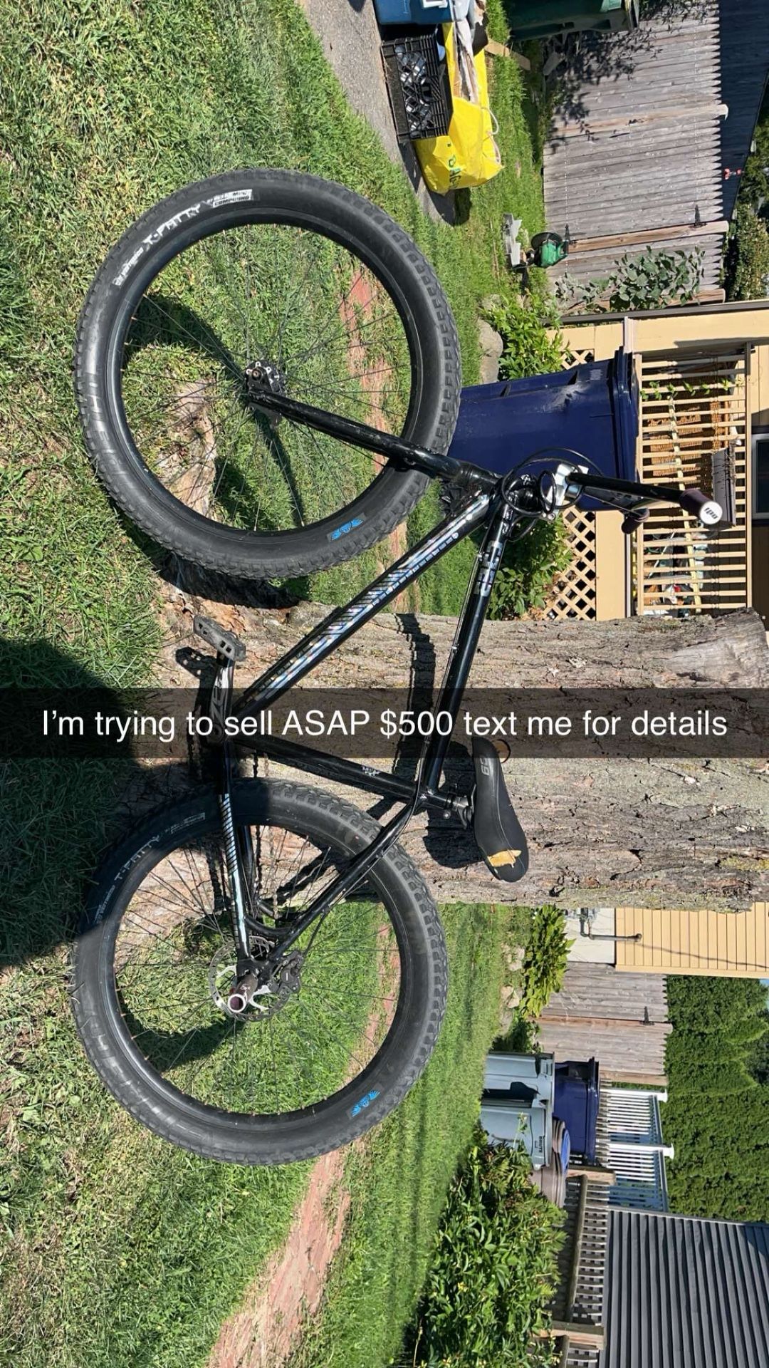 C2 Collectible 27.5