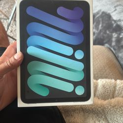 iPad Mini (6th generation) WiFi 