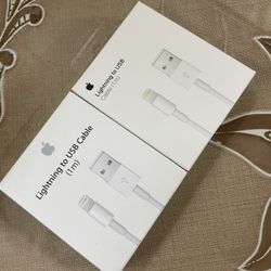 Lighting Apple Charger