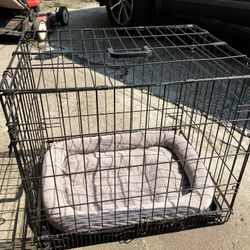 Dog Kennel