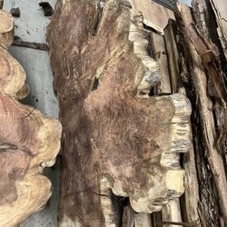 Dawn Redwood Slabs Very Rare And Exquisite Slabs