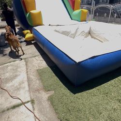 Water slide with Pool, Jumper Obstacle Course 