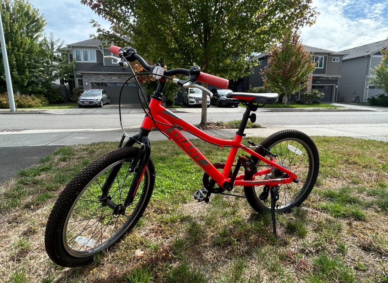 GREAT CONDITION GIANT XTC  20” JUNIOR BIKE