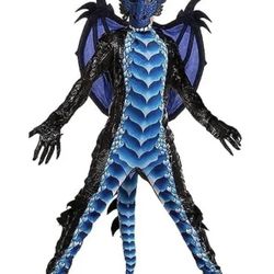 Dragon Costume S(5-7) M(8-10) L(10-12)