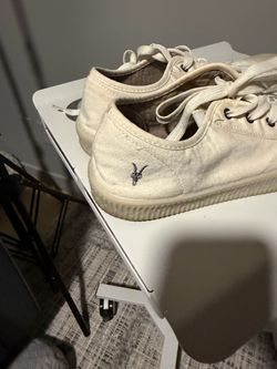 All Saints Canvas Low-Top Sneakers
