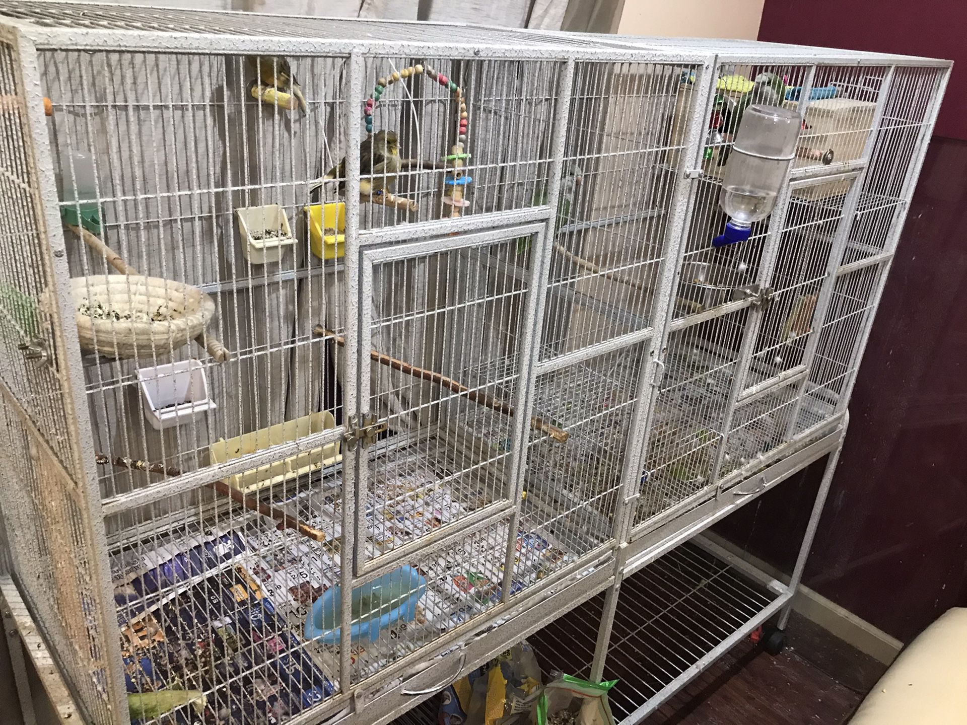 It’s price 350$ . Now hot price for 250$ , No bird 2 big cage for birds connect together in huge cage used for f heights 55 inch width 30 inch long 19