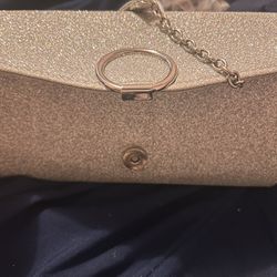 Fiona Night Silver Bag