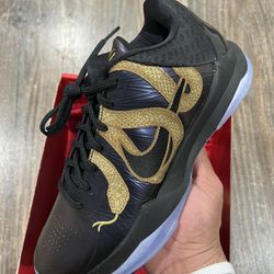 Nike Kobe 5 Protro Year Of The Mamba 