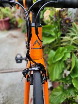Fuji Roubaix LE three.0 Performance Bike Exclusive for Sale in San