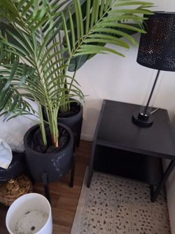 Faux plants with pots