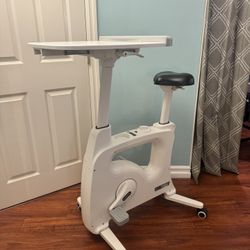 Flexispot Stationary WFH Bike 