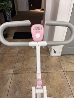 Ride N Row Full Body Workout Machine