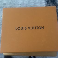 Louis Vuitton Original Handbag.