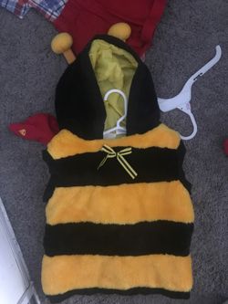 Bumble Bee Costume