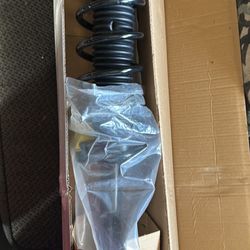  Complete Rear Struts