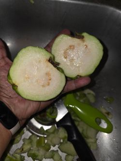 White Chinese Guavas