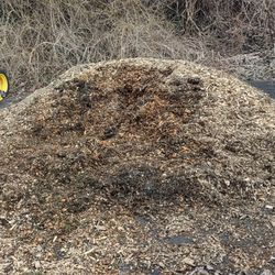 FREE! Pine Mulch - Pick Up Only