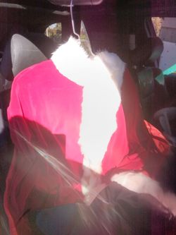 Santa clause costume