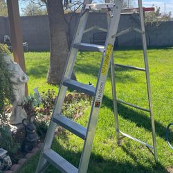 Davison 6 Ft Ladder 
