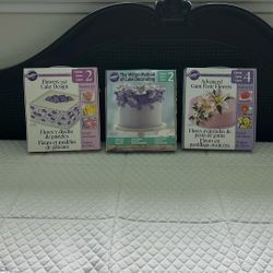 Wilton Cake Decorating Kits