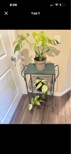 Metal side table/ plant stand