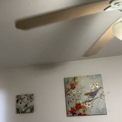 Artwork Set