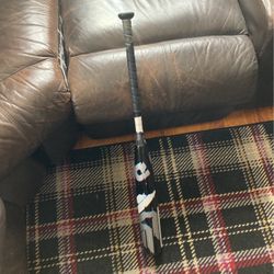 2021 Limited Edition Demarini Glitch 31 Inch -8  23 Oz