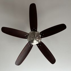 Hampton Bay Ceiling Fan