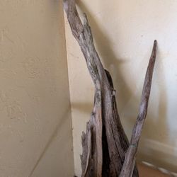 lovely vintage driftwood 16" x 32" tall