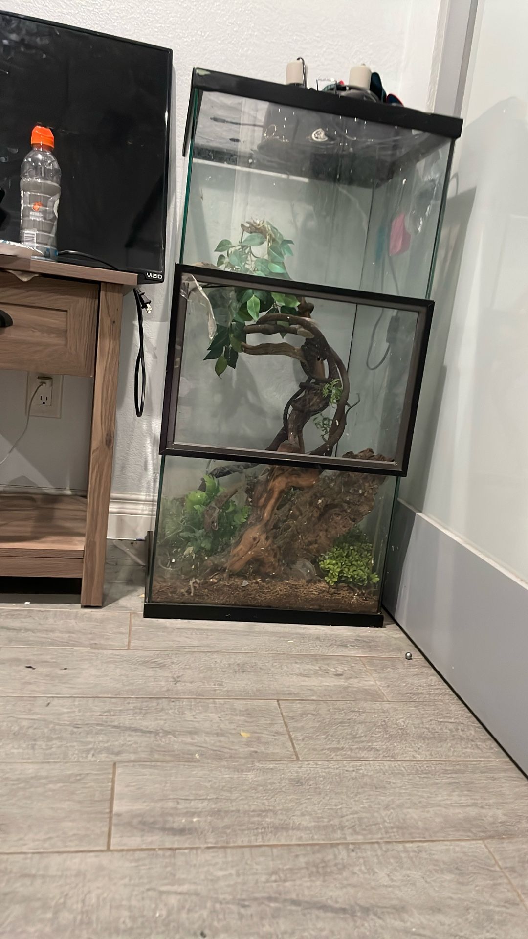 Reptile Enclosure