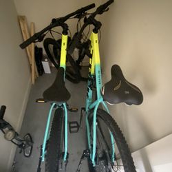 Two Trek Bikes And Rack