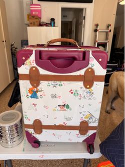 Disney Princess Carry On