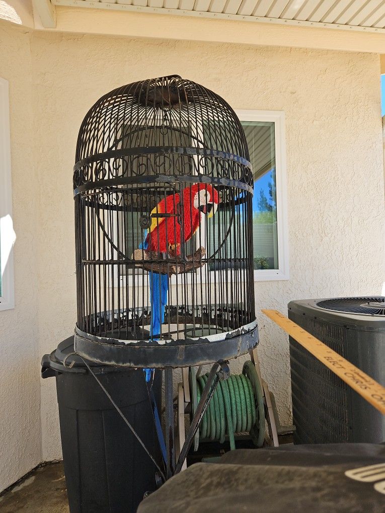 Bird Cage & Fake Parrot