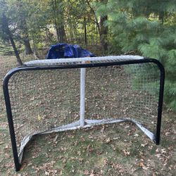 Regulation Hockey Net $65