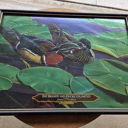 E and J Brandy Ducks Unlimited 1994 Edition frame hanging art.