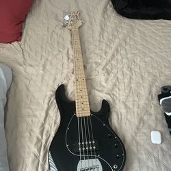 5 string bass/bass