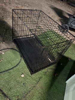 Cage pug size