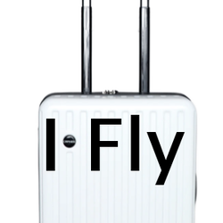 Personal Item Suitcase Flies Free
