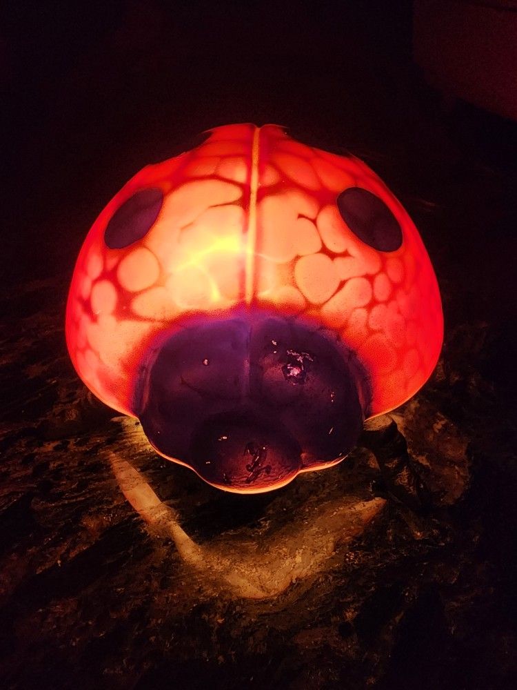Ladybug night light