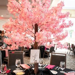 4’ Cherry Blossom Trees (set Of 5)