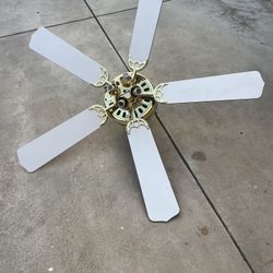 Ceiling Fan
